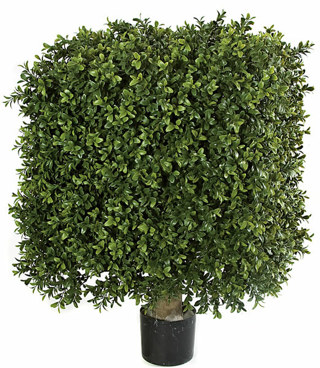 25 inch and 18 inch Plastic Boxwood Square Topiary and Limited UV Protection